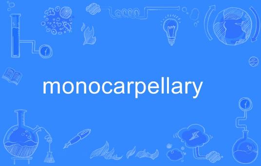 monocarpellary_百度百科