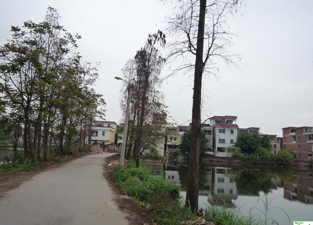  p>新桥镇,隶属贵州省 a target="_blank" href="/item/黔西南布依族