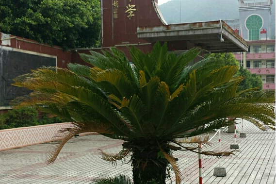 连山县民族中学