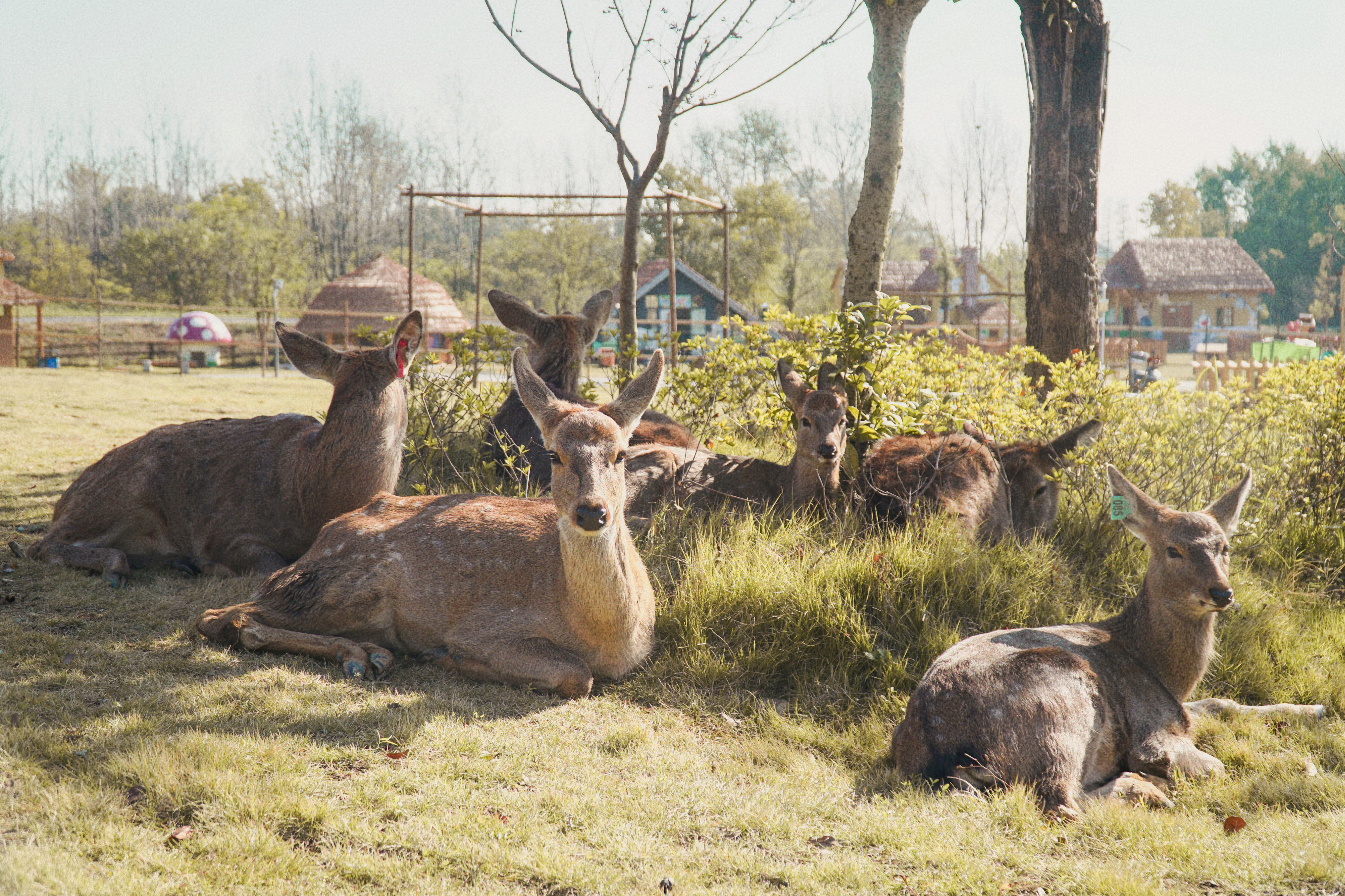 扬州户外猩球山野度假乐园