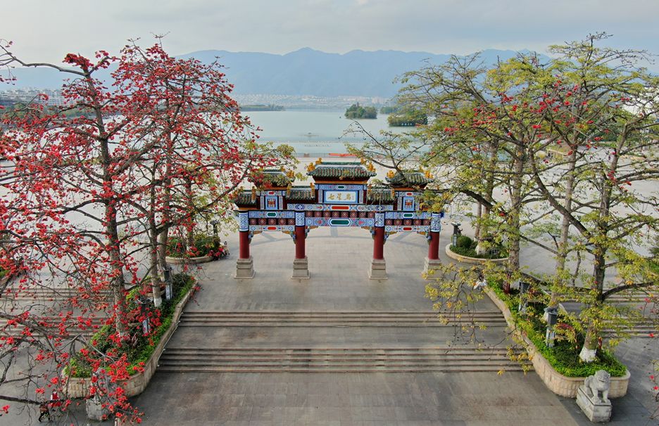 广东肇庆市 全网资源