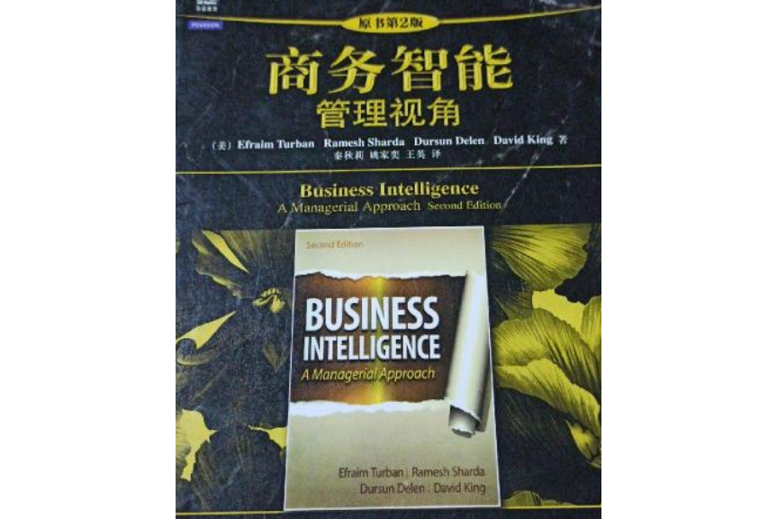 商务智能:管理视角