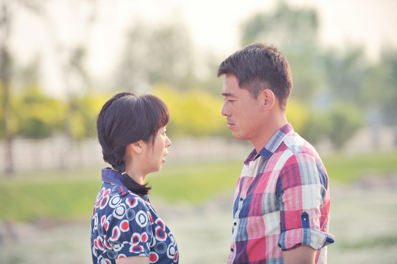 《大女当嫁》《决战华岩寺》《孟来财传奇》《葵花进城》《乱世三义