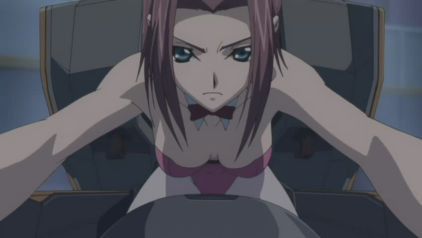 反叛的鲁鲁修之红莲骑士