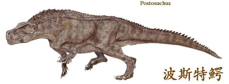 p>劳氏鳄目(学名:rauisuchia)是群所知有限的主龙类集合群,是群生存