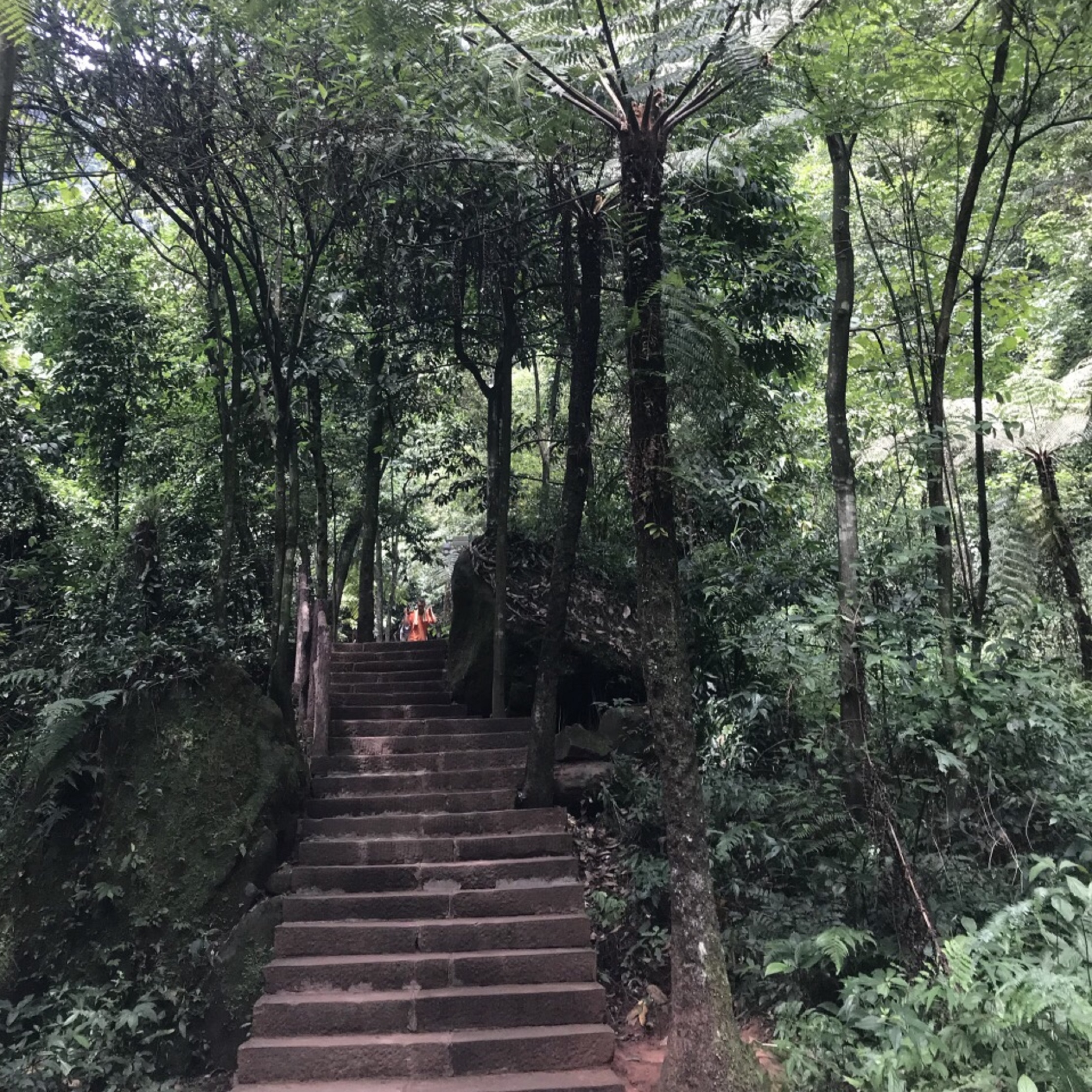 区 /a>·佛光岩景区(原名 a target="_blank" href="/item/五柱峰景