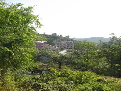 坑西村