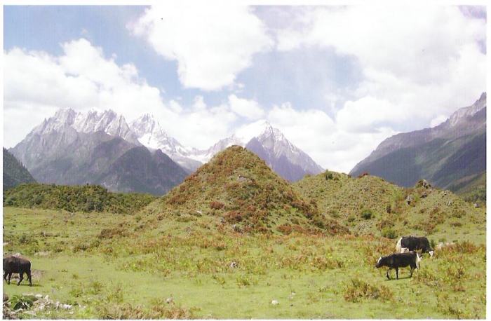  p>东欧平原(east european plain)位于欧洲东部,世界第二大 a href="