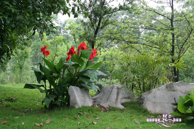 广西壮族自治区中国科学院桂林植物园