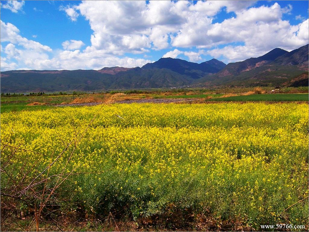  p>蜀山春晓位于安徽省蜀山区西部合肥西郊9公里,海拔284米,总占地