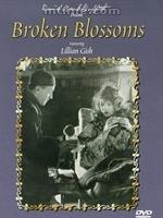 凋谢的花朵brokenblossoms(1919)