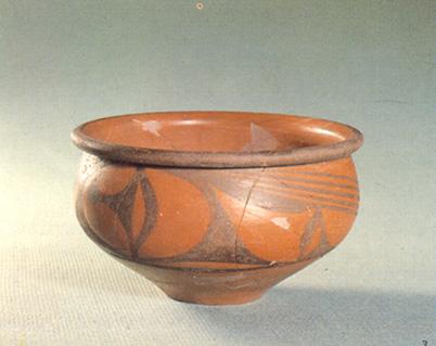 半坡文化变体鸟纹盆