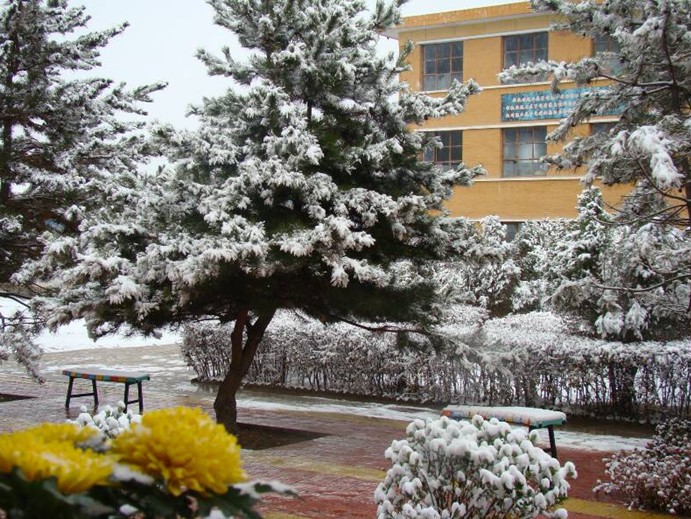 甘肃省岷县第一中学