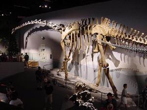  p>地震龙(属名: i>seismosaurus /i>)意为"使大地震动的蜥蜴",是较大