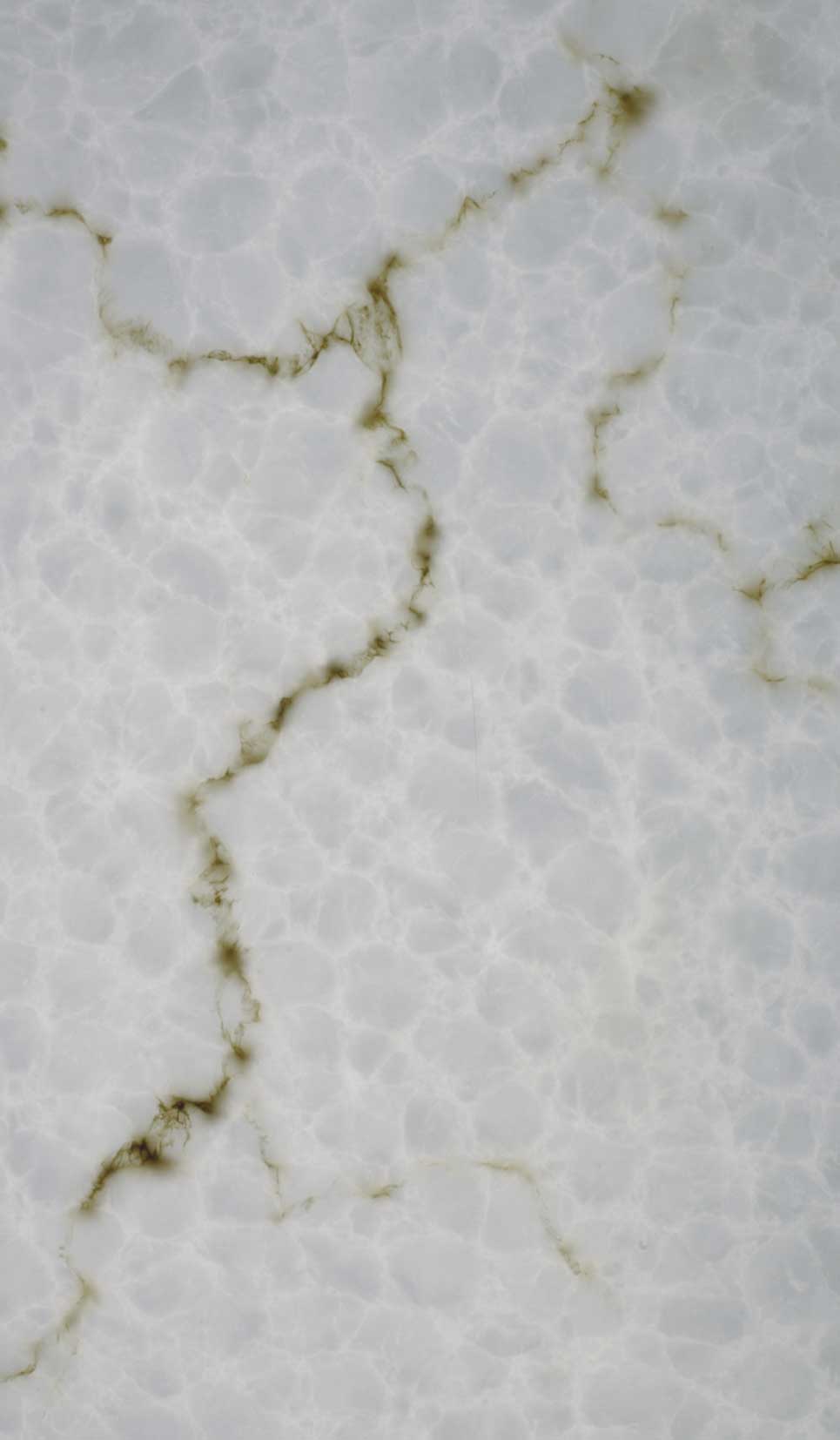  p>无色透明板内藏天然植物,板材为纯树脂,没有添加粉及其它材质.