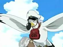 data-lemmaid="8904">《海贼王》 /a>中登场的虚拟角色,是一只海鸥