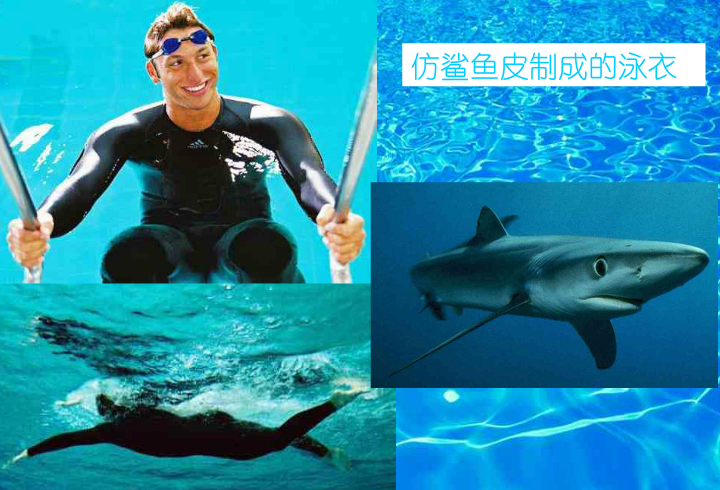  p>海洋仿生学是 a target="_blank" href="/item/海洋生物学/1003968