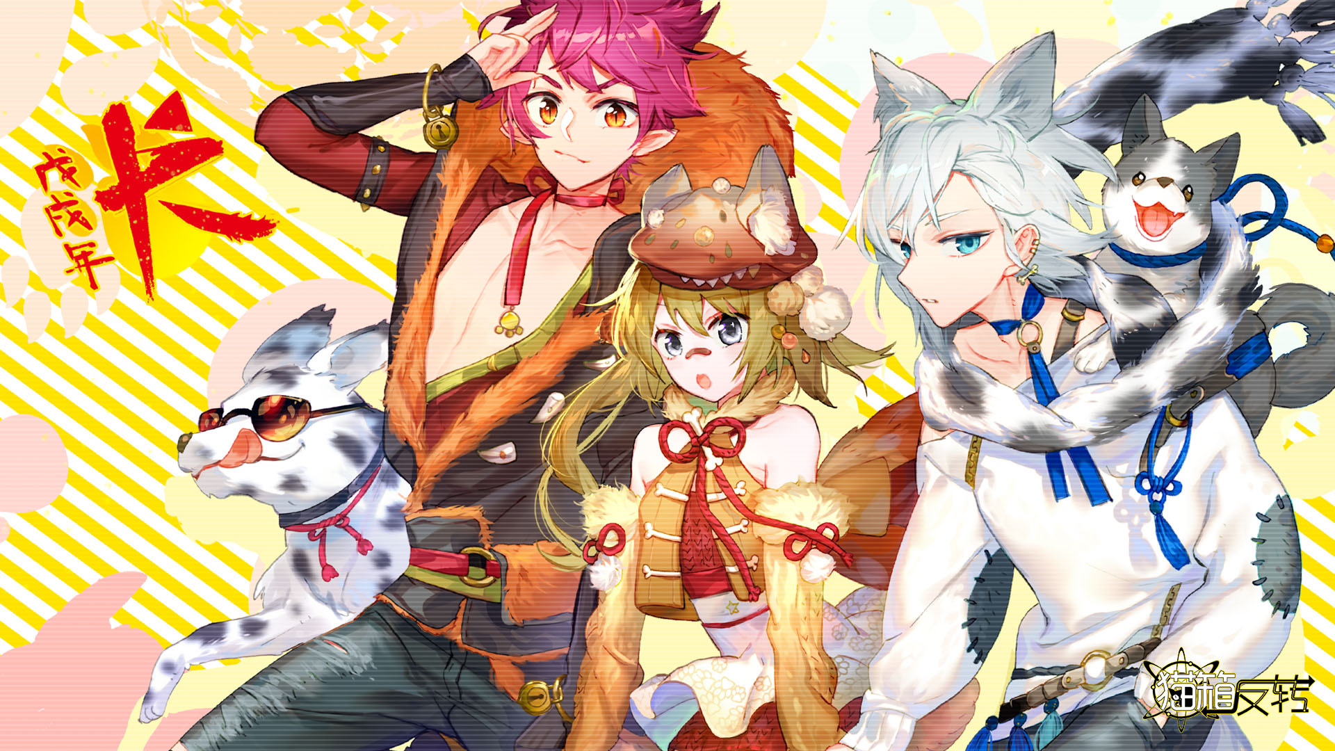 猫箱反转