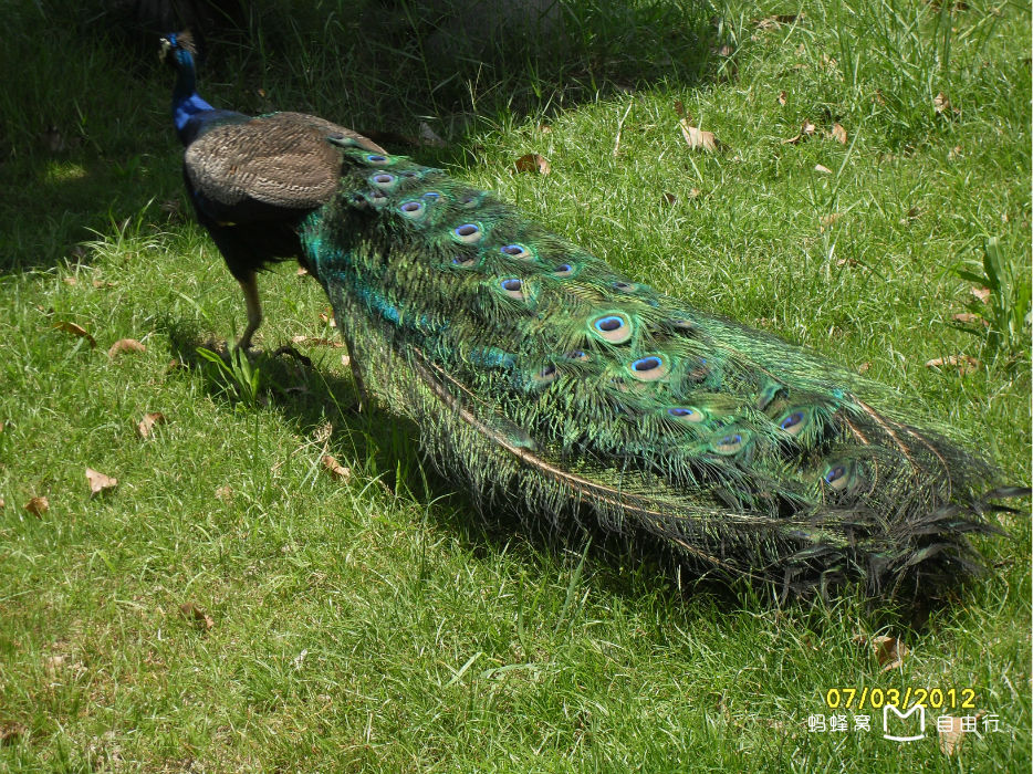 厦门海沧动物园