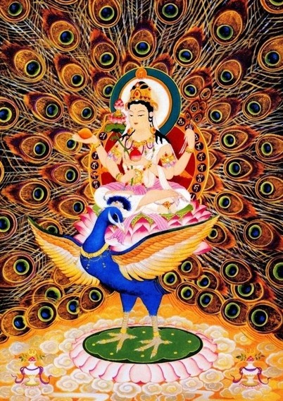  p>孔雀明王(梵名mahā-mayūrī-vidyā-rāj  ī)汉译有摩诃摩瑜利