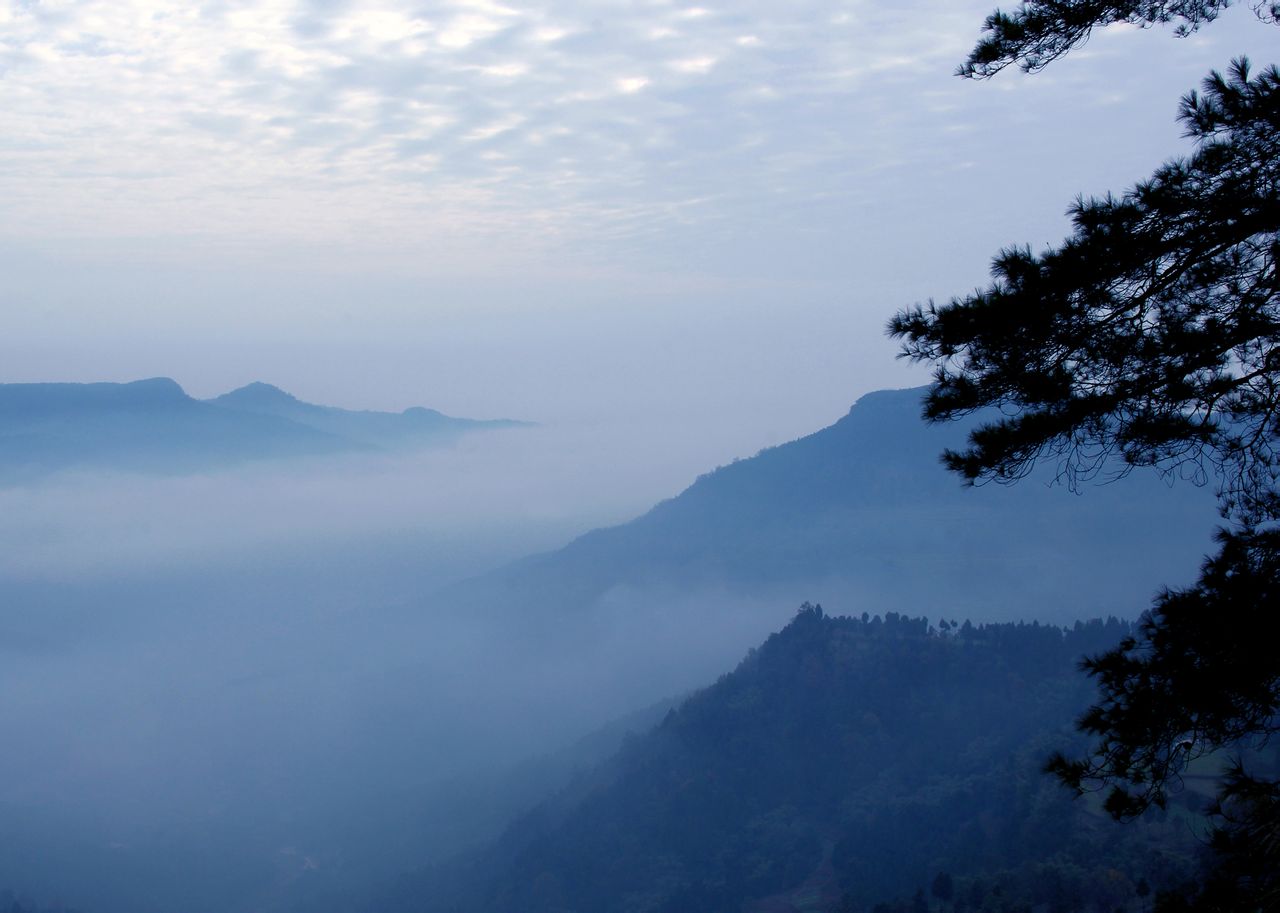 金城山森林公园