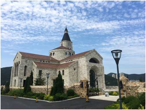 大连东软控股有限公司