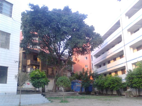 四川省资中县太平中学