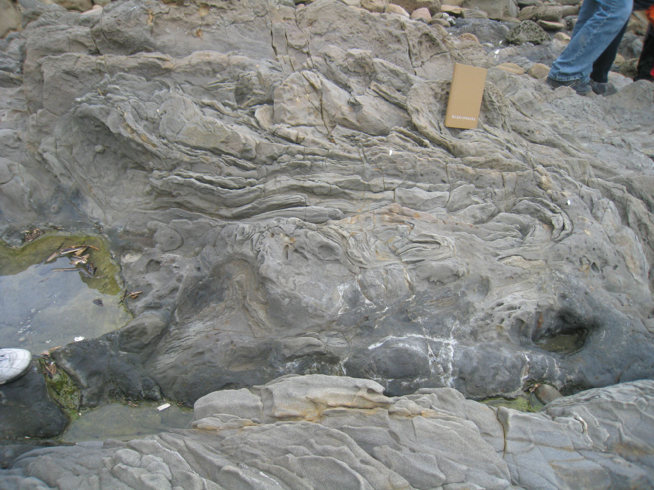  p>浊积相(turbidite facies)是浊流沉积作用形成的不同沉积组合,通常