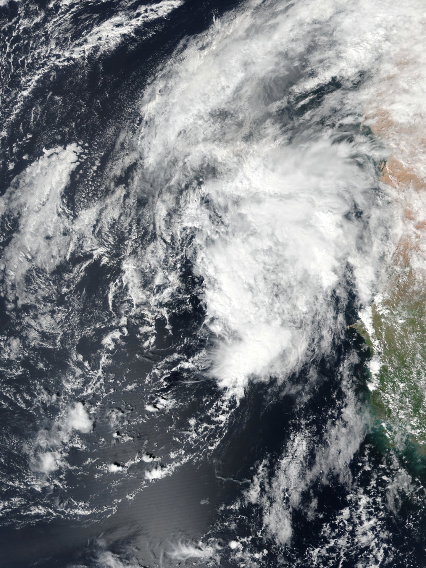 2019年大西洋飓风季