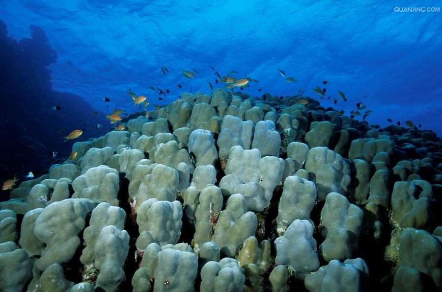 data-id="go25h8bjrg">红海位于 a target="_blank" href="/item/非洲