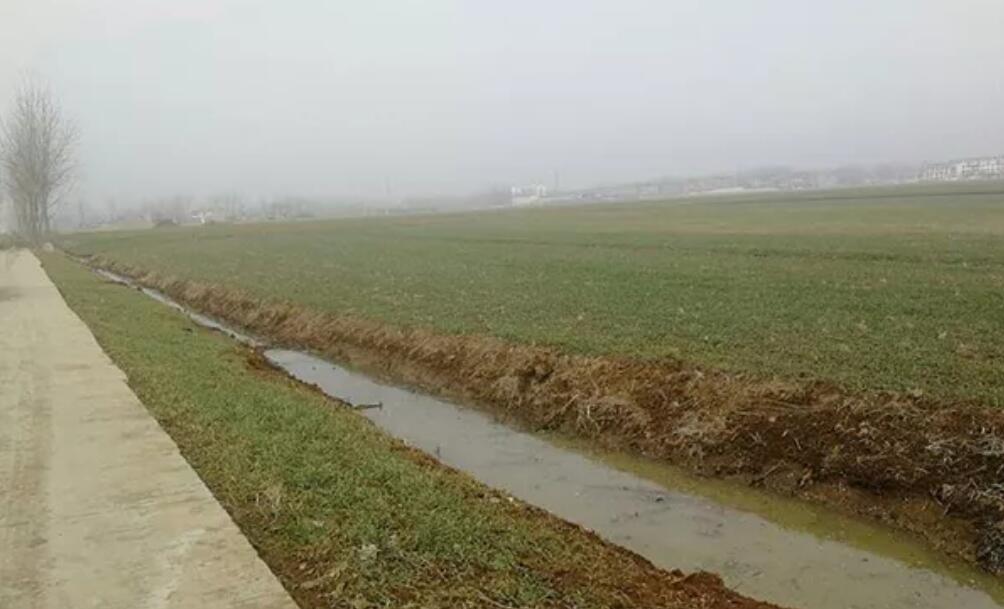 江苏灌云死猪被弃河沟事件