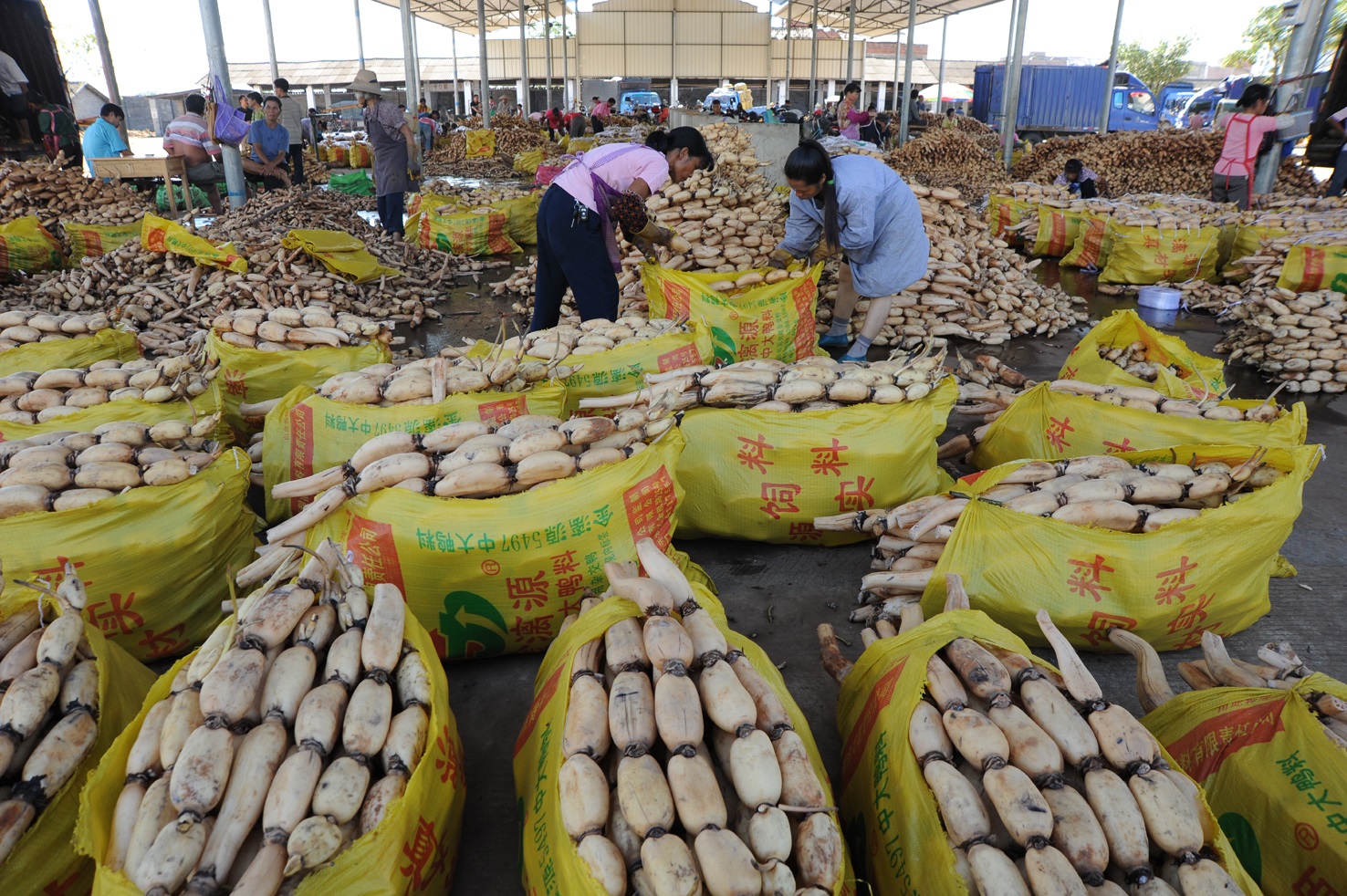 target="_blank" href="/item/黎塘镇/4848318" data-lemmaid="484831