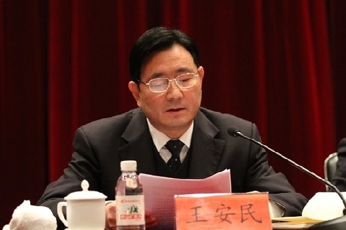  p data-id="gnbill7po3">王安民, 男,汉族,1955年生,陕西省 a target