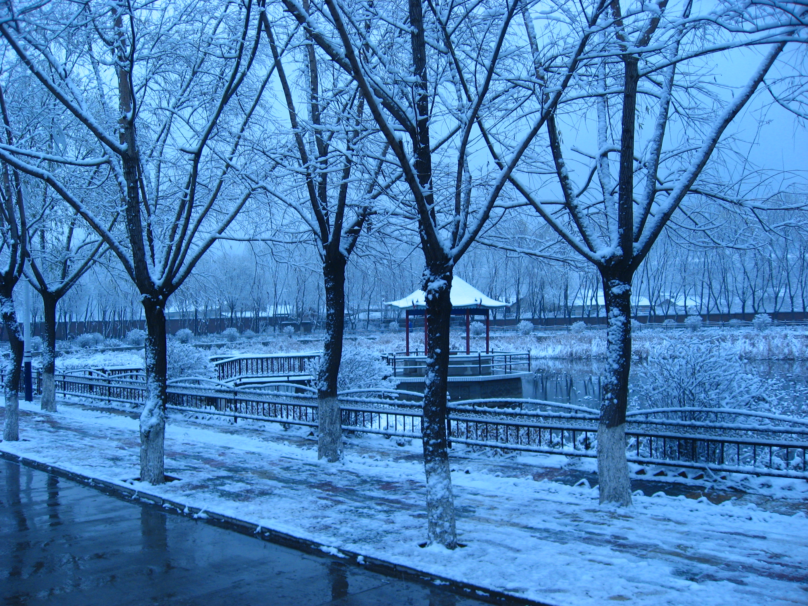 七台河第二中学