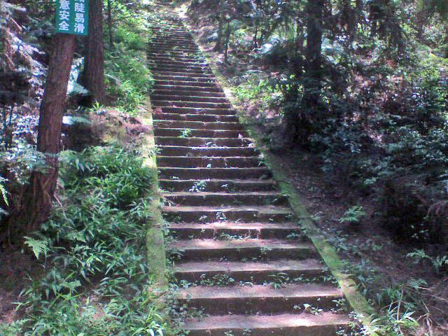 自贡高石梯森林公园