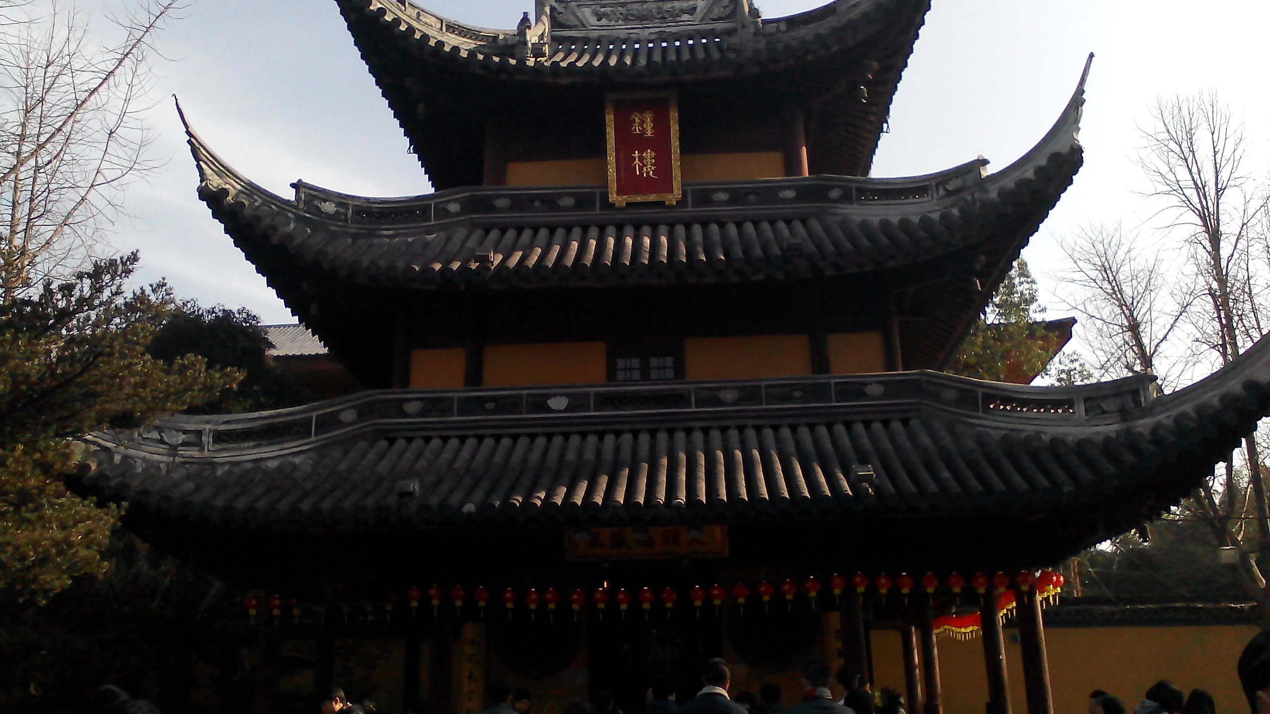 ɽɭֱ_Ĺһɽ԰ _ɽɭֹ԰