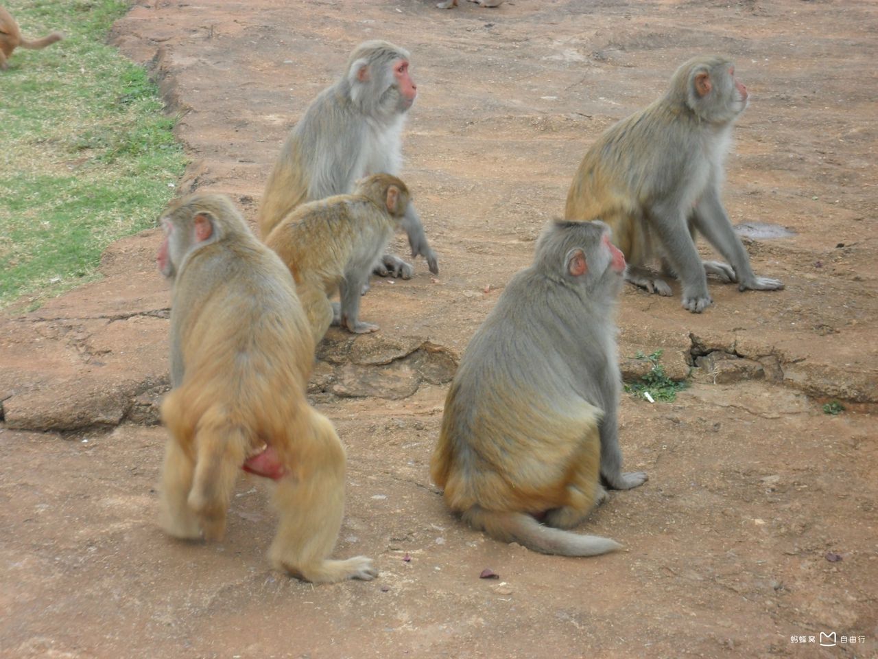 海南热带野生动物园