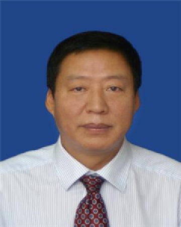 data-lemmaid="5253682">桦南县 /a>政府副县长