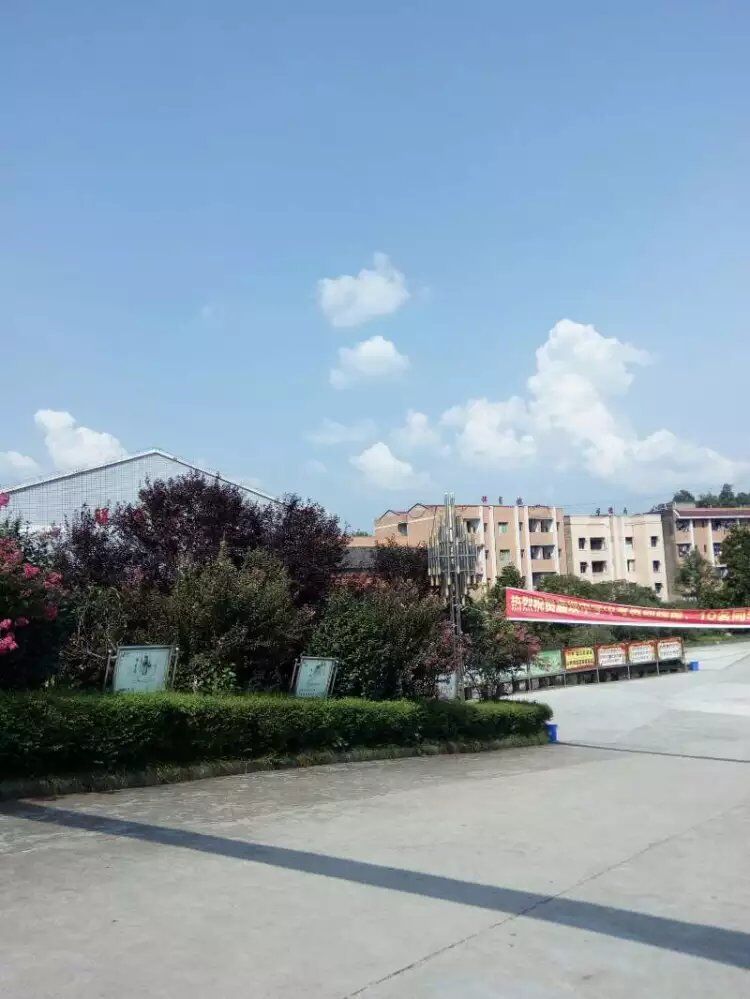 大竹县学企业建站模板制作的简单介绍