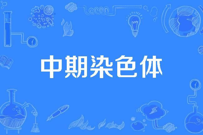  p>中期染色体(metaphase chromosome)是1995年公布的医学名词. /p>