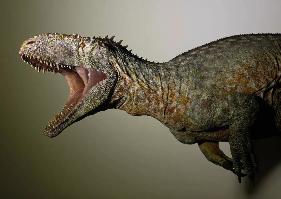 脊椎动物亚门,蜥形纲,双孔亚纲,蜥臀目,兽脚亚目恐龙的一属,生存于