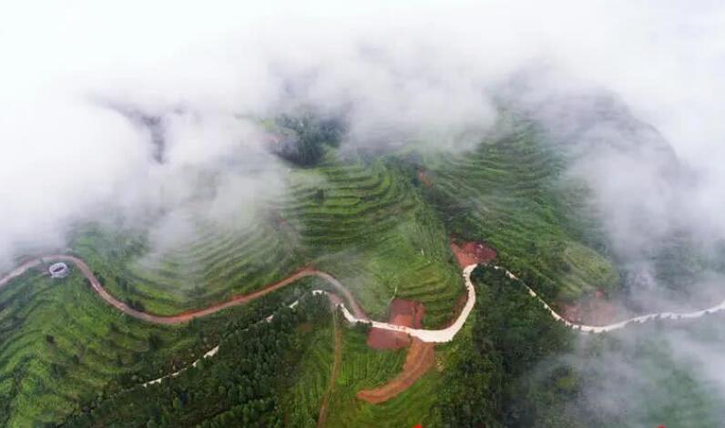  p>鬃岭镇,隶属于贵州省 a target="_blank" href="/item/毕节市