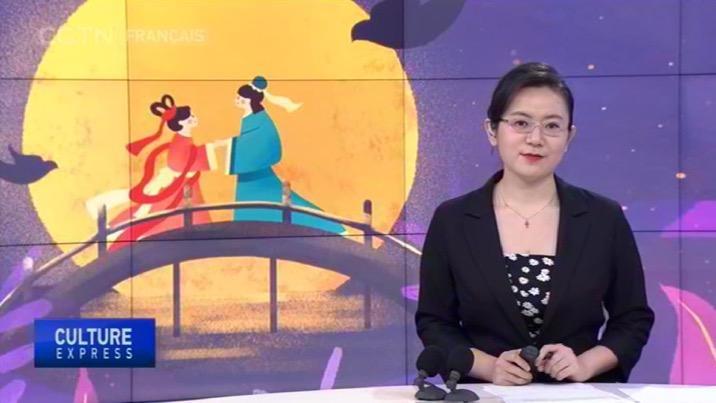 中国中央电视台法语国际频道