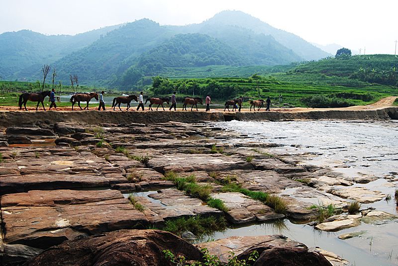 那拔镇,隶属于广西壮族自治区百色市田东县,地处<a target="
