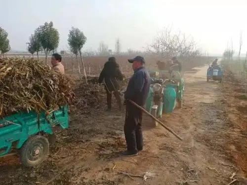 ">山东省 /a>泰安市 a target="_blank" href="/item/东平县/23397"