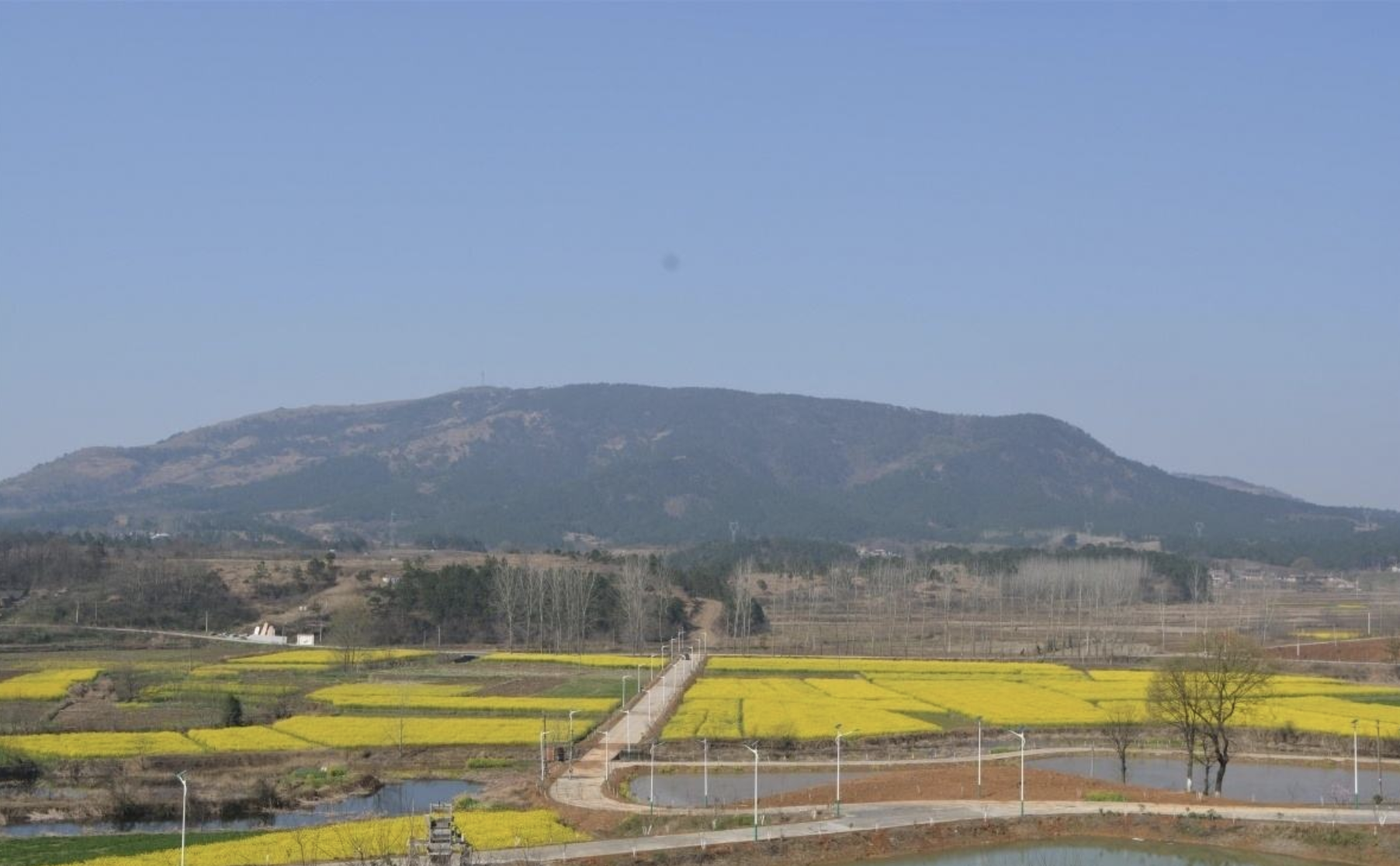  p>陈巷镇,隶属于福建省 a target="_blank" href="/item/漳州市
