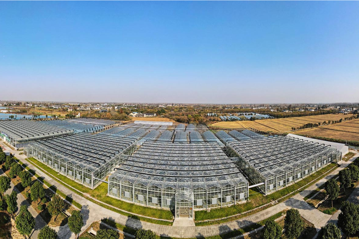  p>黄州区蔬菜现代农业产业园(系统名称为:黄冈市黄州区叶路洲蔬菜