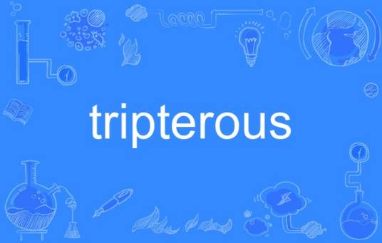 tripterous_百度百科