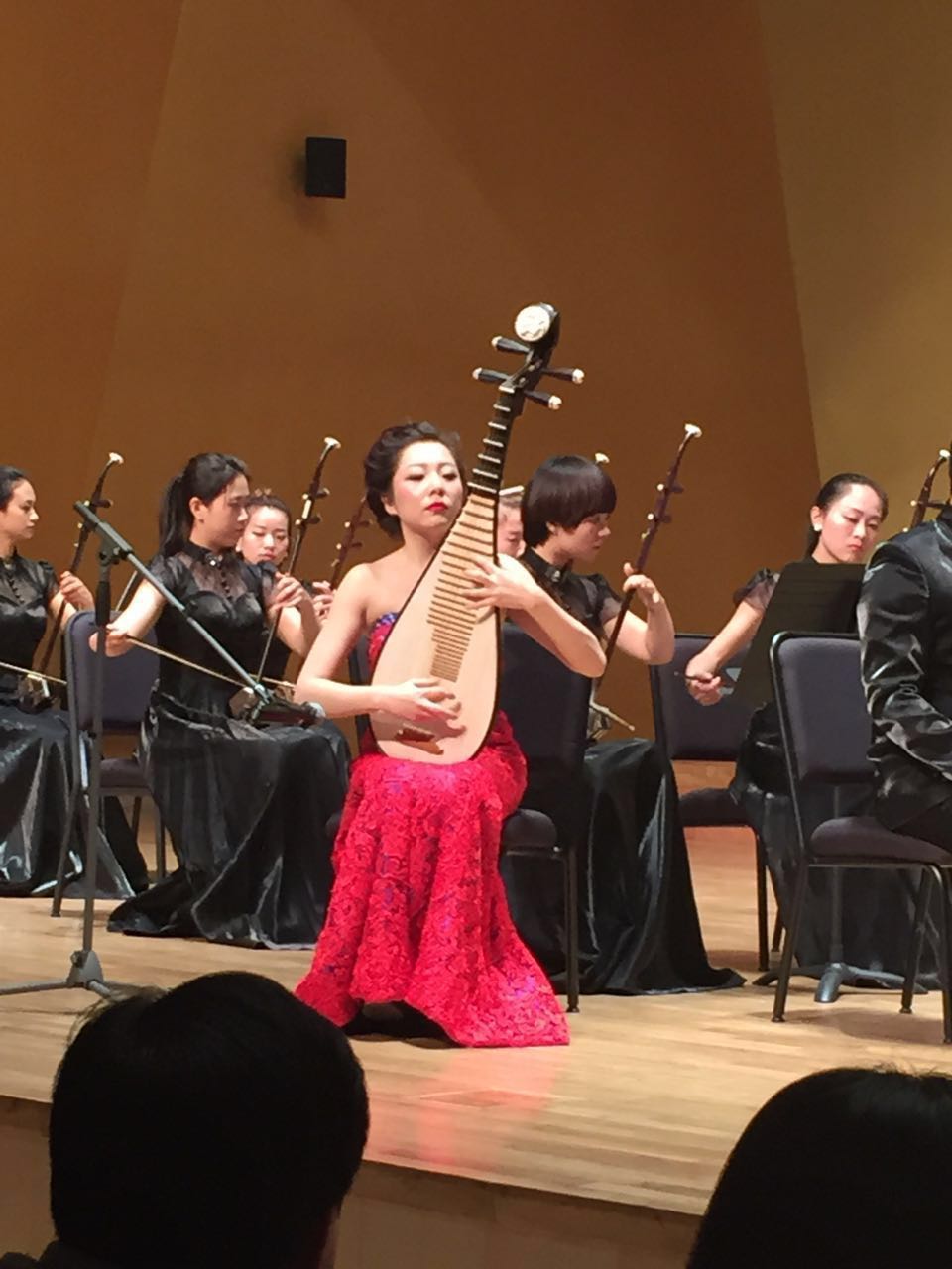 女,青年琵琶 a target="_blank" href="/item/演奏家/134332" data