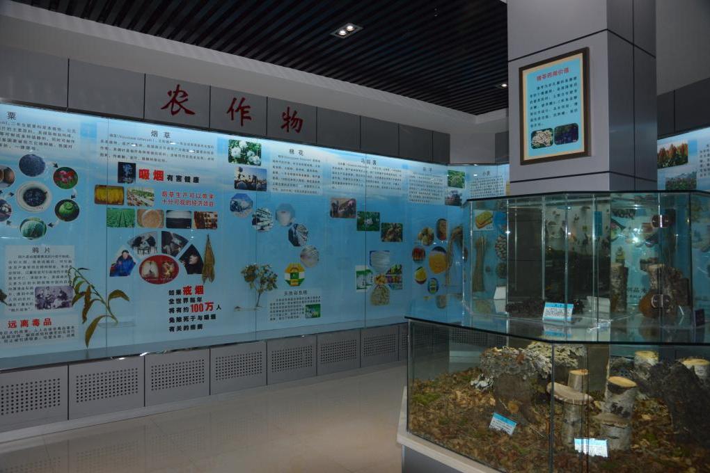 牡丹江师范学院标本馆